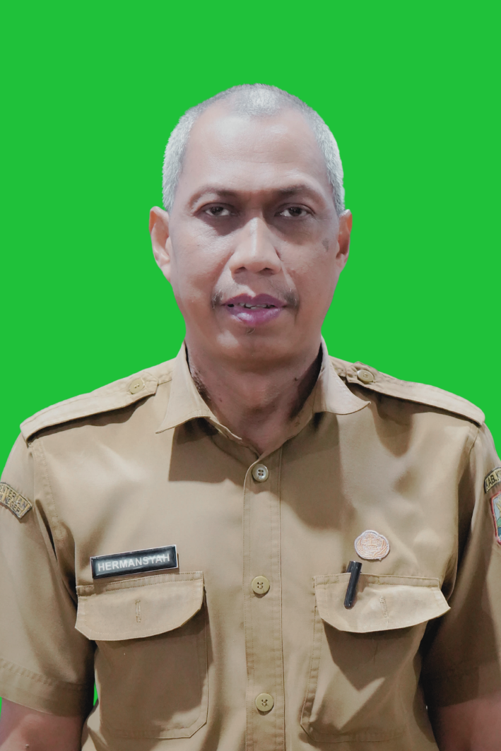 Foto HERMANSYAH, S.Sos